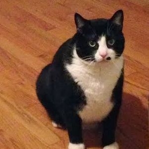 Meet your Posher, Dee